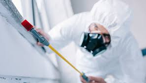 Best Fumigation Services  in Fredonia, NY